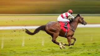 Flashback - Warrnambool Cup