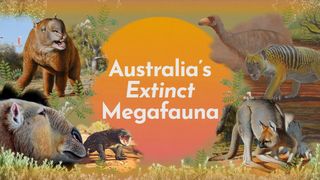 Australia's Extinct Megafauna