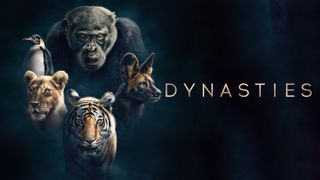 Dynasties
