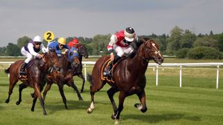 Flashback - Manikato Stakes