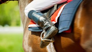 Sky Thoroughbred Central Raceday