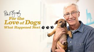 Paul O'Grady for the Love of Dogs: What Happened Next
