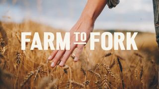 Farm To Fork