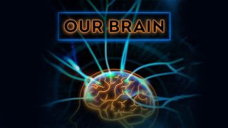 Our Brain