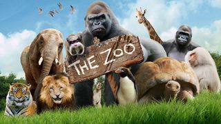 The Zoo