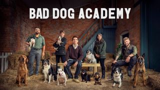 Bad Dog Academy