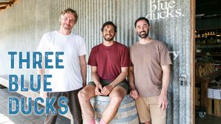 Three Blue Ducks