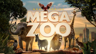 Mega Zoo
