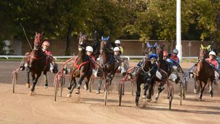 Harness Racing