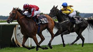 Seven's Horse Racing