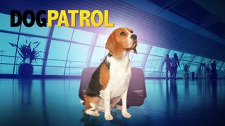 Dog Patrol