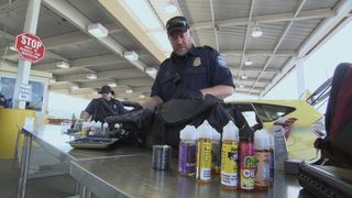 Border Security: International