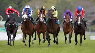Horse Racing