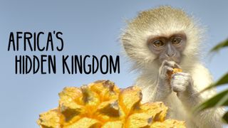 Africa's Hidden Kingdoms