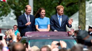 William and Harry: The Rise and Fall