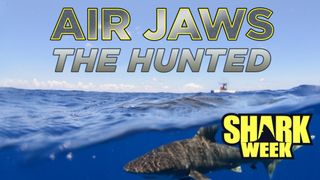Air Jaws: The Hunted