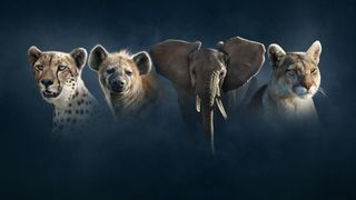 David Attenborough's Dynasties II