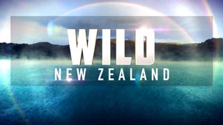Wild New Zealand