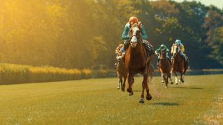 Better Loosen Up Tribute