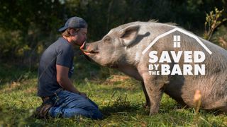 Saved By The Barn
