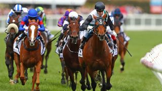 Caulfield Cup Barrier Draw