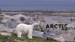 Arctic Secrets