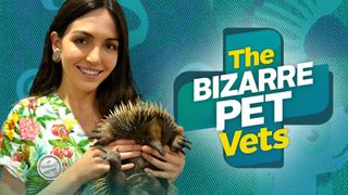 The Bizarre Pet Vets