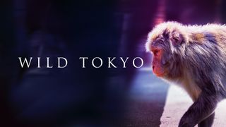 Wild Tokyo
