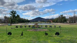 Tent Embassy: 50 Years of Protest
