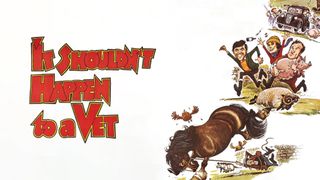 It Shouldn't Happen to a Vet