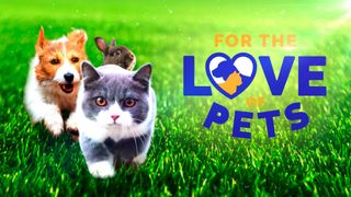 For the Love of Pets