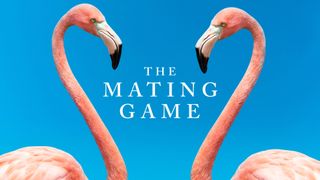 The Mating Game
