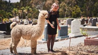 A Beginner's Guide To Grief