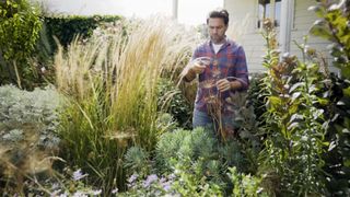 Gardening Australia: My Garden Path
