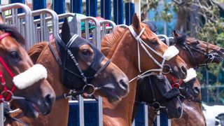 2024 Melbourne Cup Barrier Draw