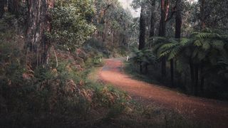 Ringbalin - Breaking the Drought