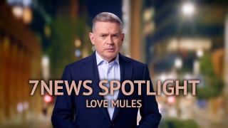 7NEWS Spotlight: Love Mules