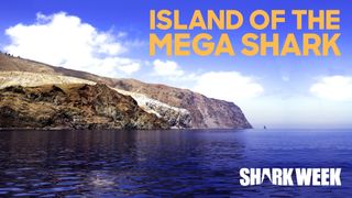 Island of the Mega Shark