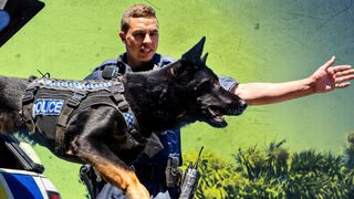 Dog Squad