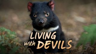 Living With Devils