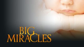 Big Miracles