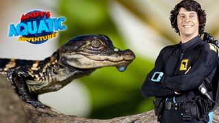 Andy's Aquatic Adventures