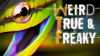 Weird, True & Freaky