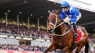 Winx: Horse of a Lifetime