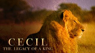 Cecil: The Legacy of a King