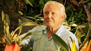 David Attenborough's Kingdom of Plants