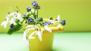 The Making of The Awakening