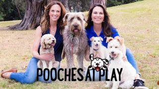 Pooches at Play