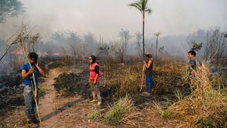 Amazon On Fire