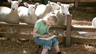 Charlotte's Web